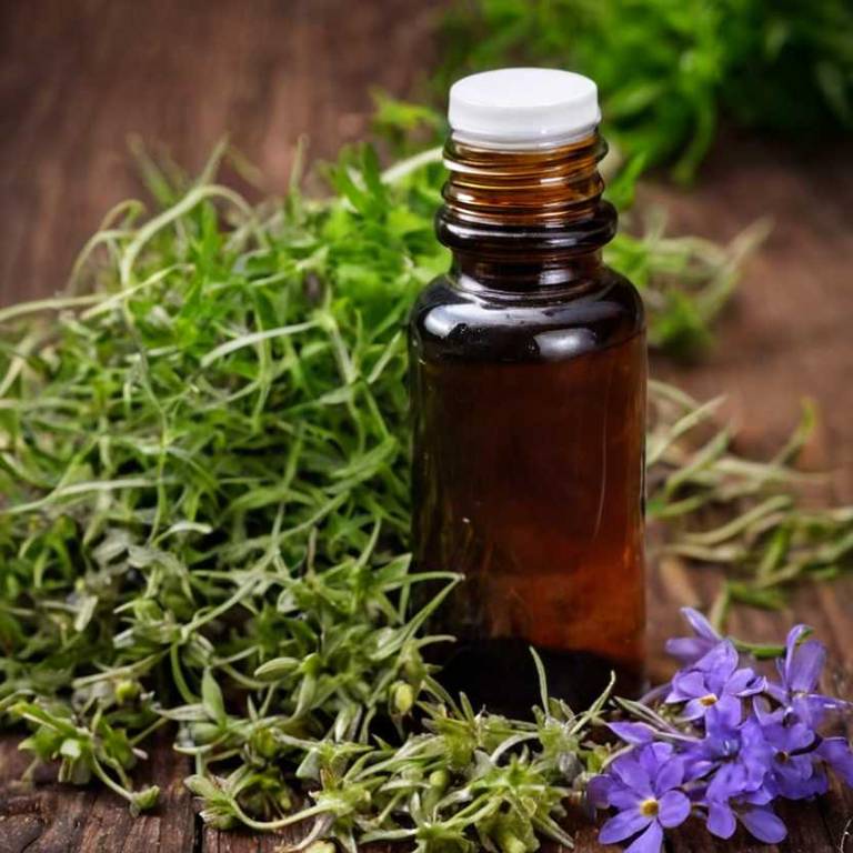 herbal tinctures for leg-pain overview