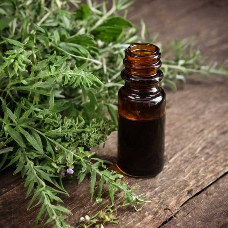 herbal tinctures for low-blood-pressure overview