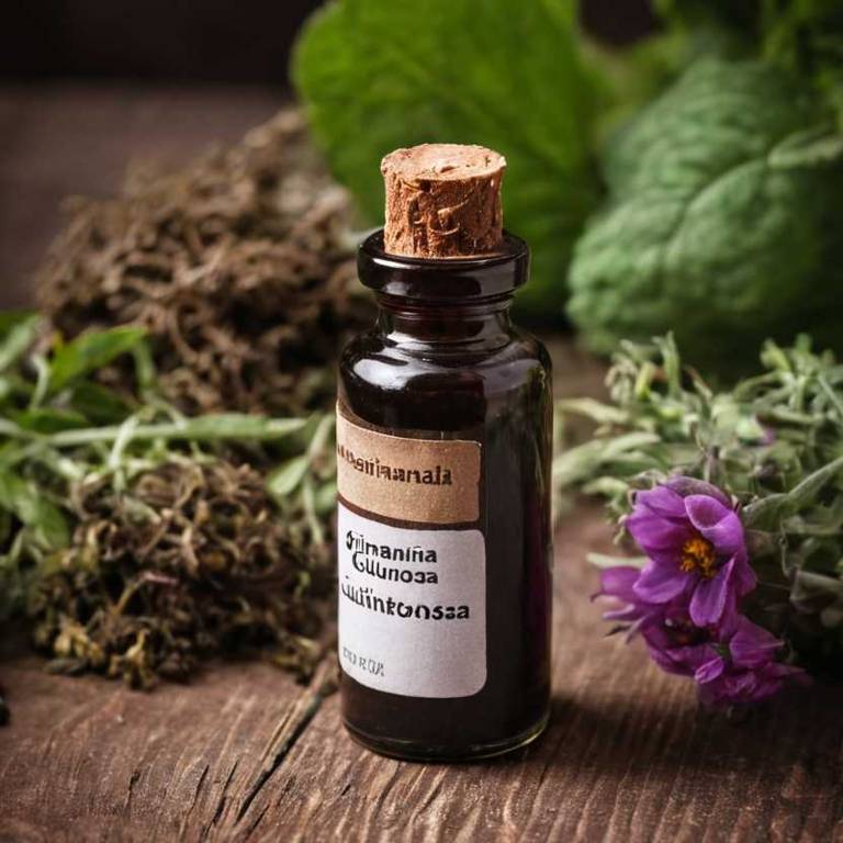 herbal tinctures for low-sperm-count Rehmannia glutinosa