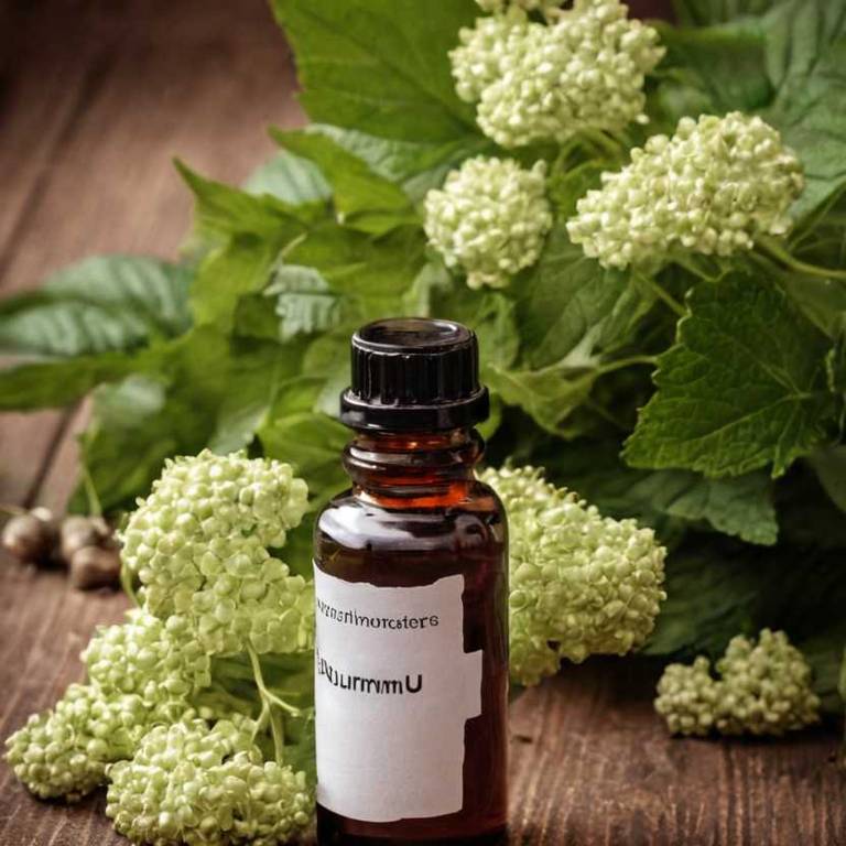 herbal tinctures for menstrual-cramps Viburnum opulus