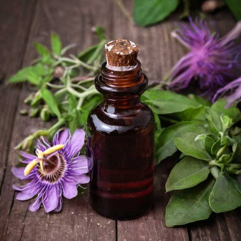 herbal tinctures for motion-sickness Passiflora incarnata