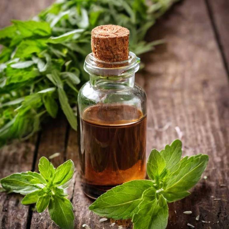 herbal tinctures for mucus Stevia rebaudiana