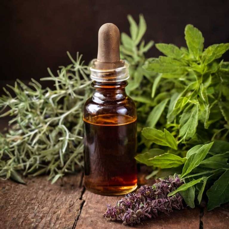 herbal tinctures for muscle-pain Rhus aromatica