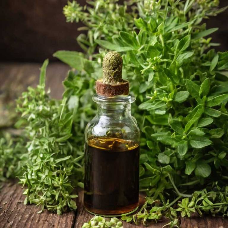 herbal tinctures for nausea overview