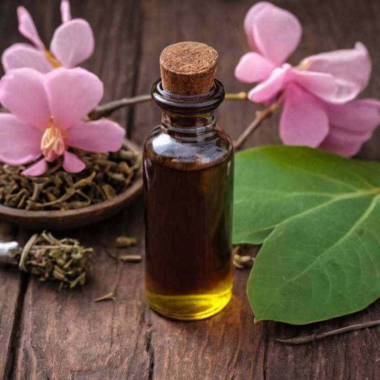 herbal tinctures for nose-bleeding overview