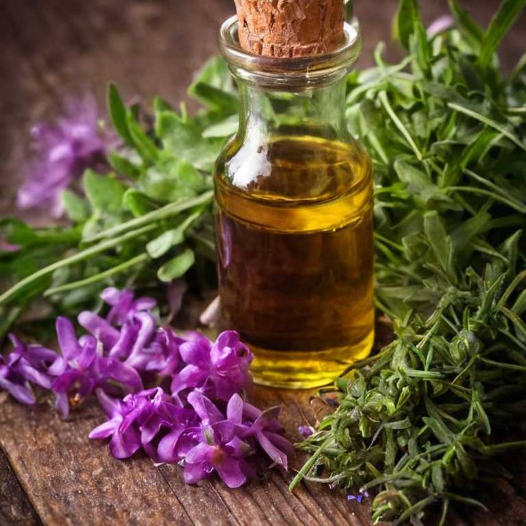 herbal tinctures for oily-skin overview