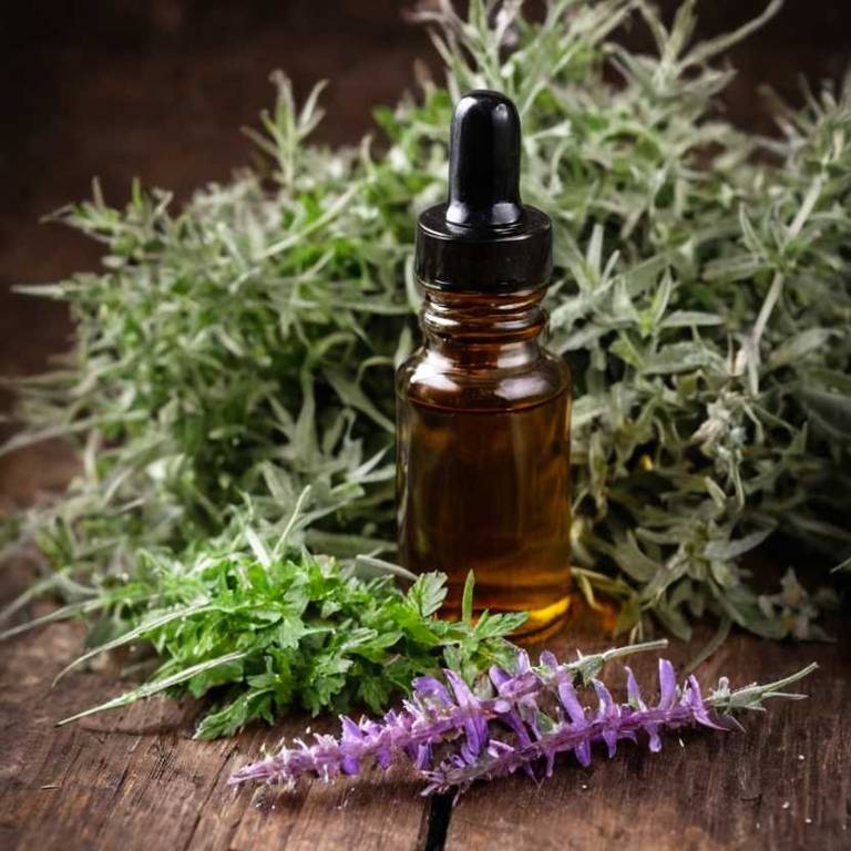 herbal tinctures for oily-skin Teucrium chamaedrys