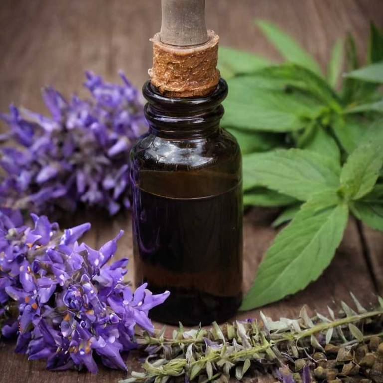 herbal tinctures for one-side-headache Vitex agnus castus