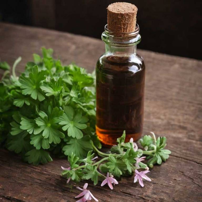 herbal tinctures for open-pores Pelargonium graveolens