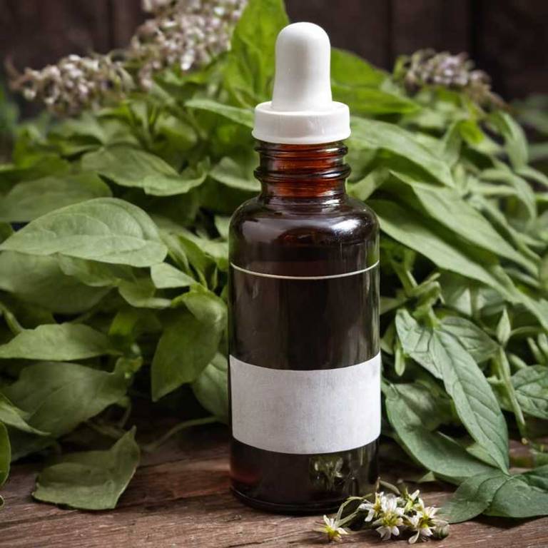 herbal tinctures for open-wounds overview