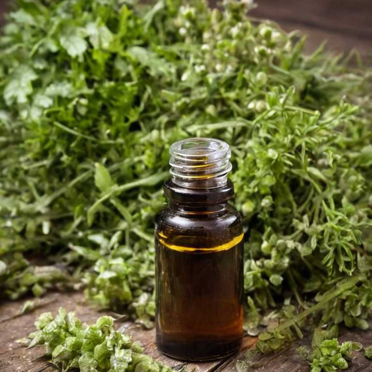 herbal tinctures for osteoporosis Scrophularia nodosa