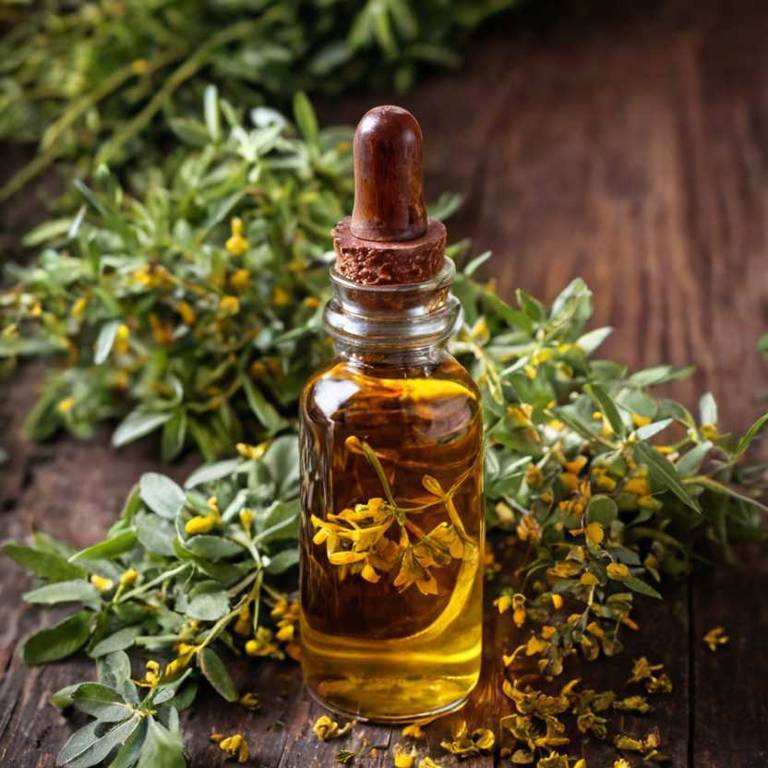 herbal tinctures for painful-swallowing overview