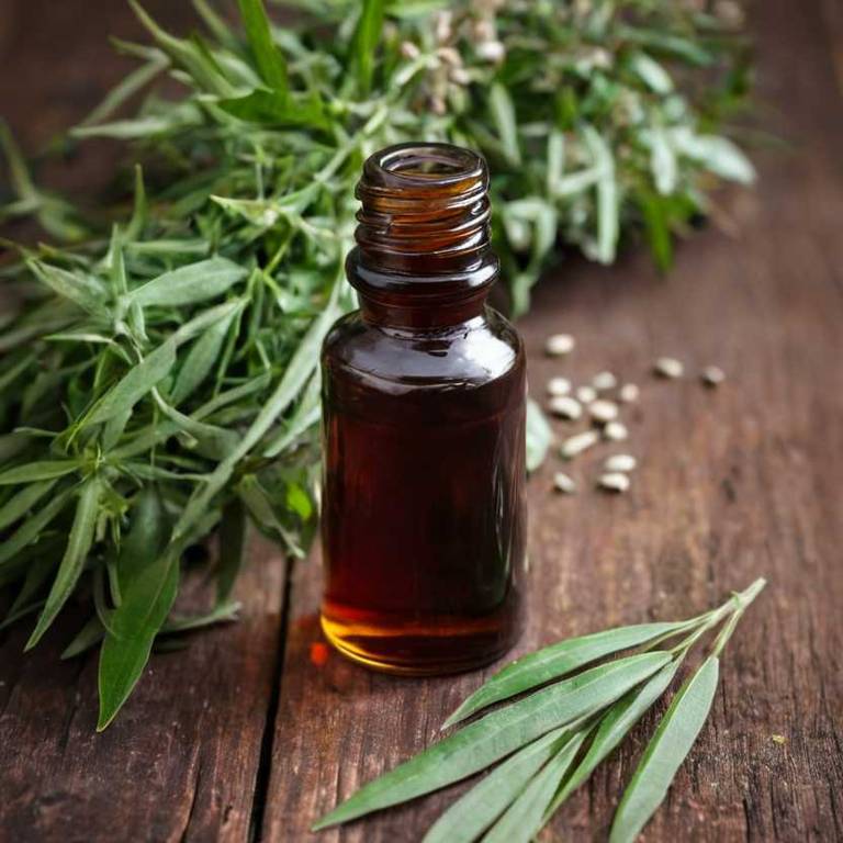 herbal tinctures for painful-swallowing Ruscus aculeatus