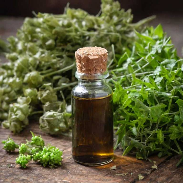 herbal tinctures for palpitation Scrophularia nodosa