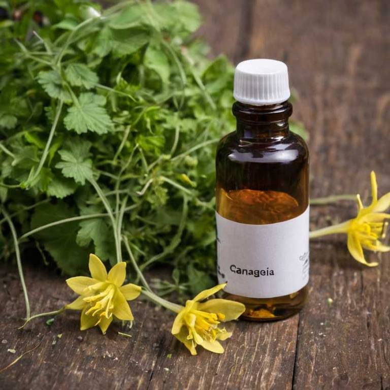 herbal tinctures for peptic-ulcers overview