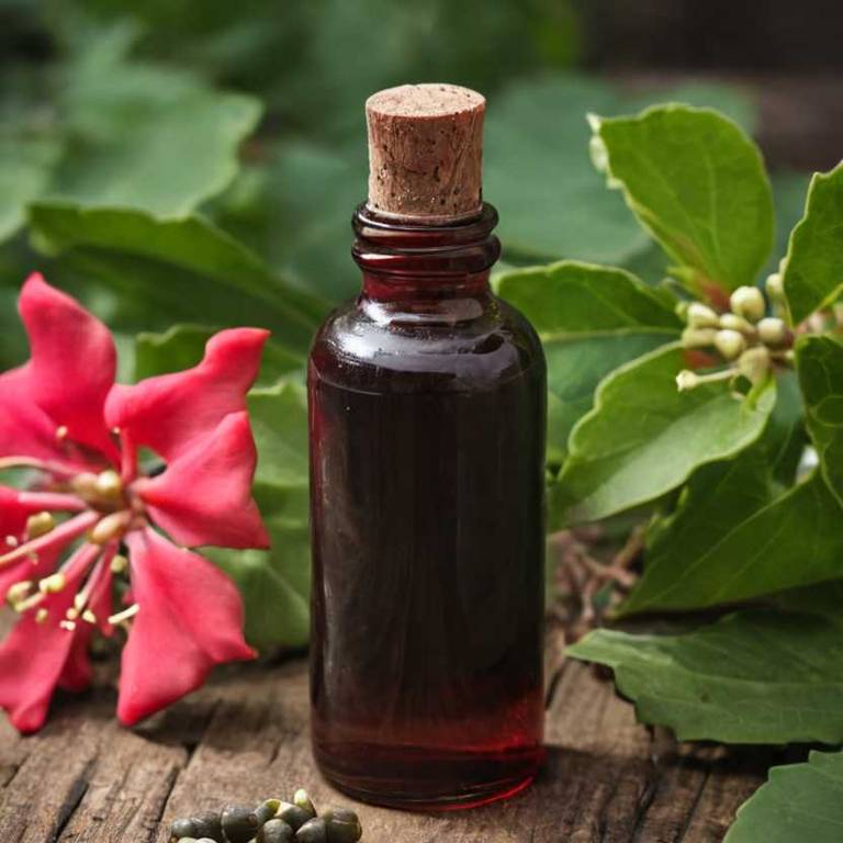 herbal tinctures for periods-over-bleeding overview