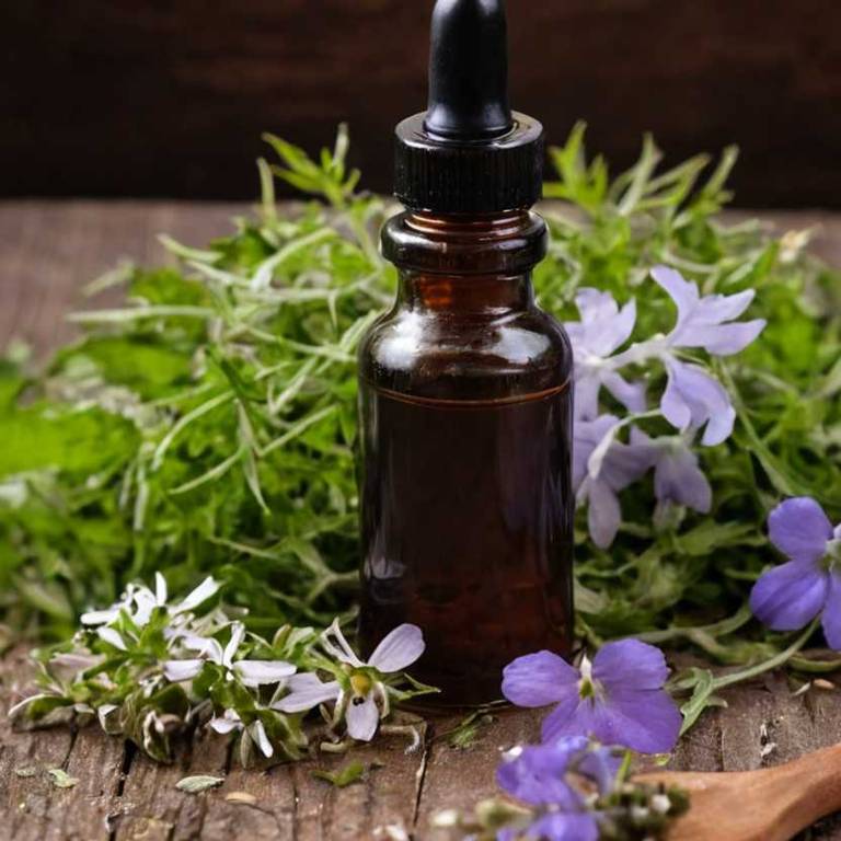 herbal tinctures for phlegm Lobelia inflata