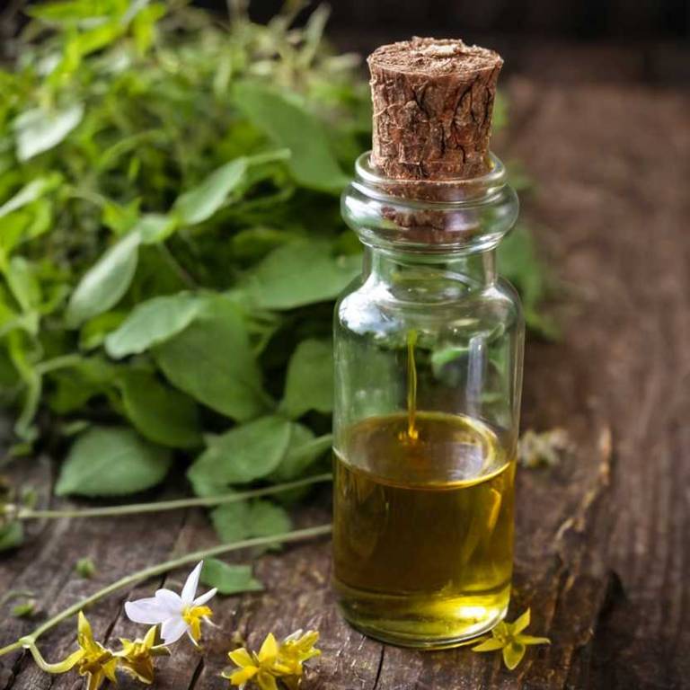 herbal tinctures for premature-ejaculation Epimedium sagittatum