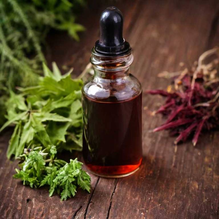 herbal tinctures for premenstrual-syndrome overview