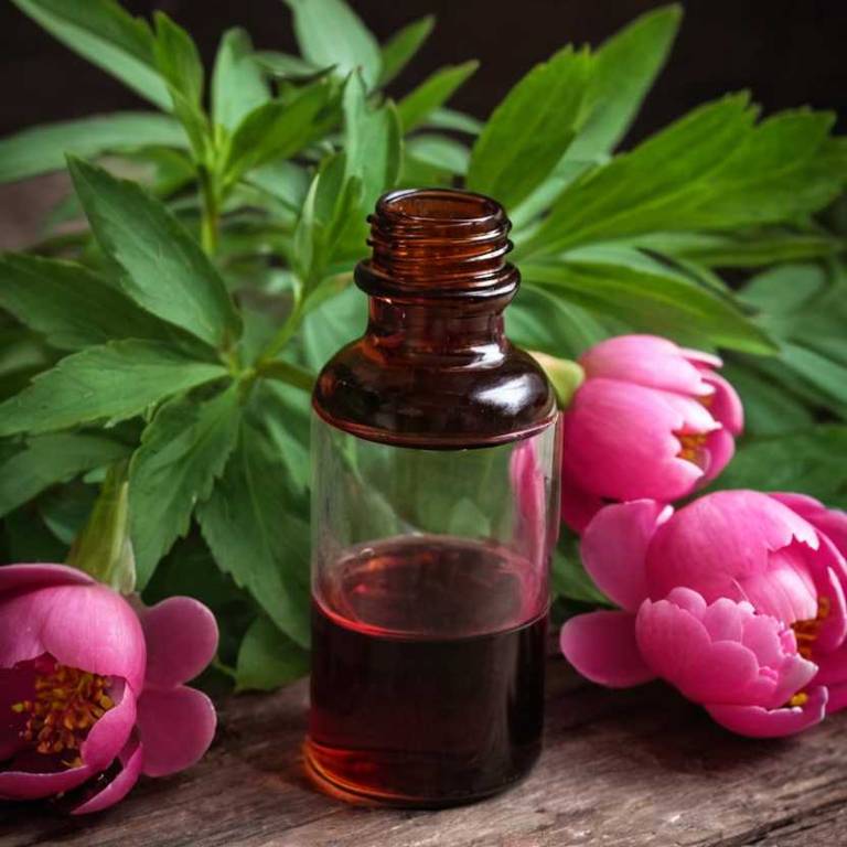 herbal tinctures for premenstrual-syndrome Paeonia suffruticosa