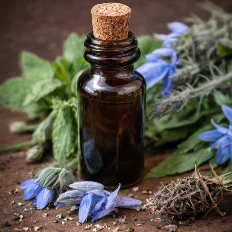 herbal tinctures for puffy-eyes Borago officinalis