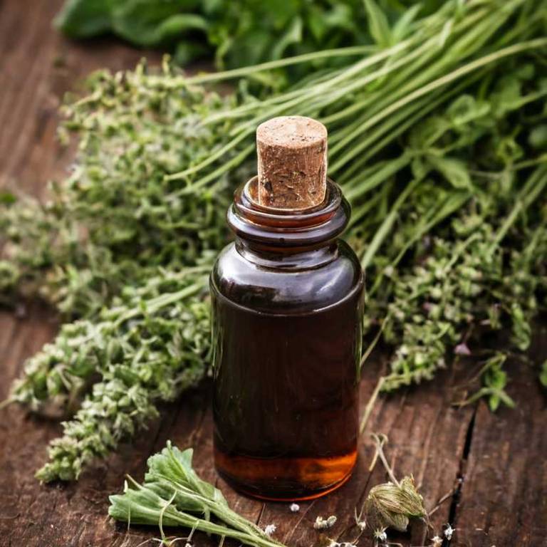 herbal tinctures for rashes Plantago major