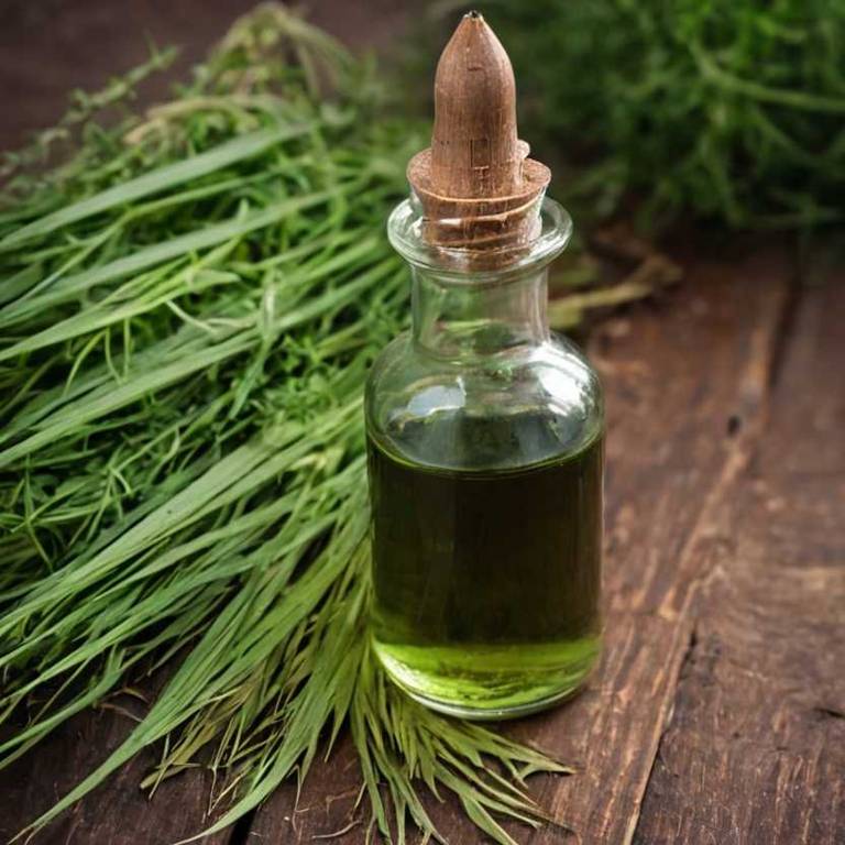 herbal tinctures for ringworm Cymbopogon citratus