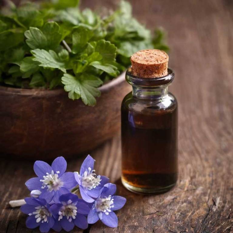 herbal tinctures for stiff-neck overview