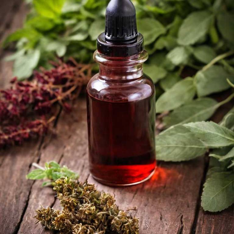 herbal tinctures for stomach-growling Ulmus rubra