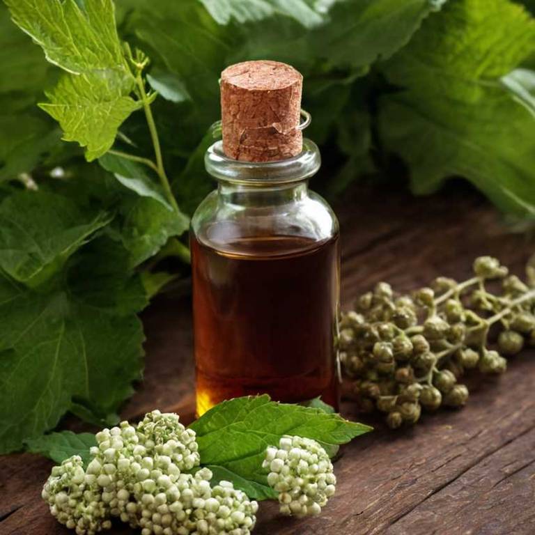 herbal tinctures for swollen-gums overview