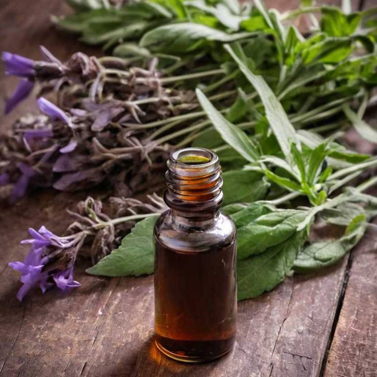 herbal tinctures for taste-loss Salvia officinalis