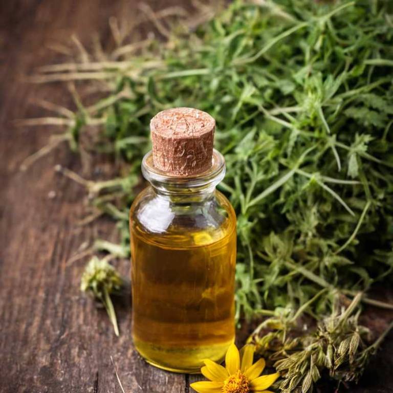 herbal tinctures for tendinitis Arnica montana