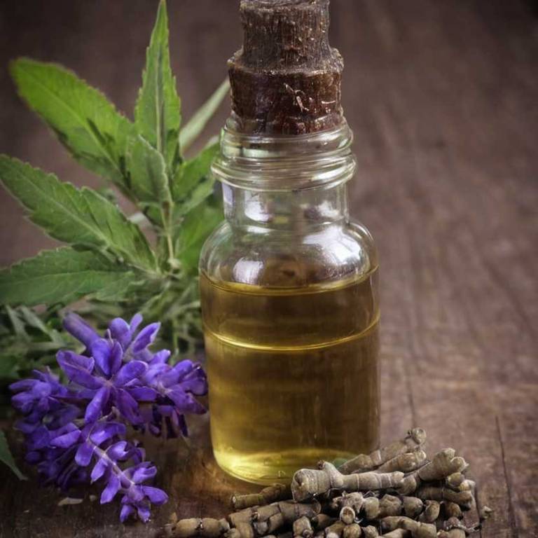 herbal tinctures for tendinitis Vitex agnus castus