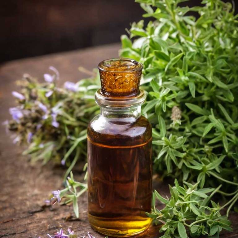 herbal tinctures for throat-pain Thymus vulgaris