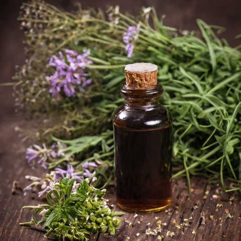 herbal tinctures for tinnitus Valeriana officinalis