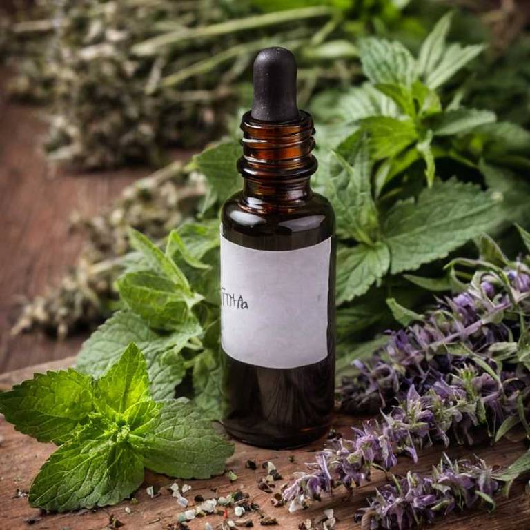 herbal tinctures for upper-abdominal-pain Mentha x piperita