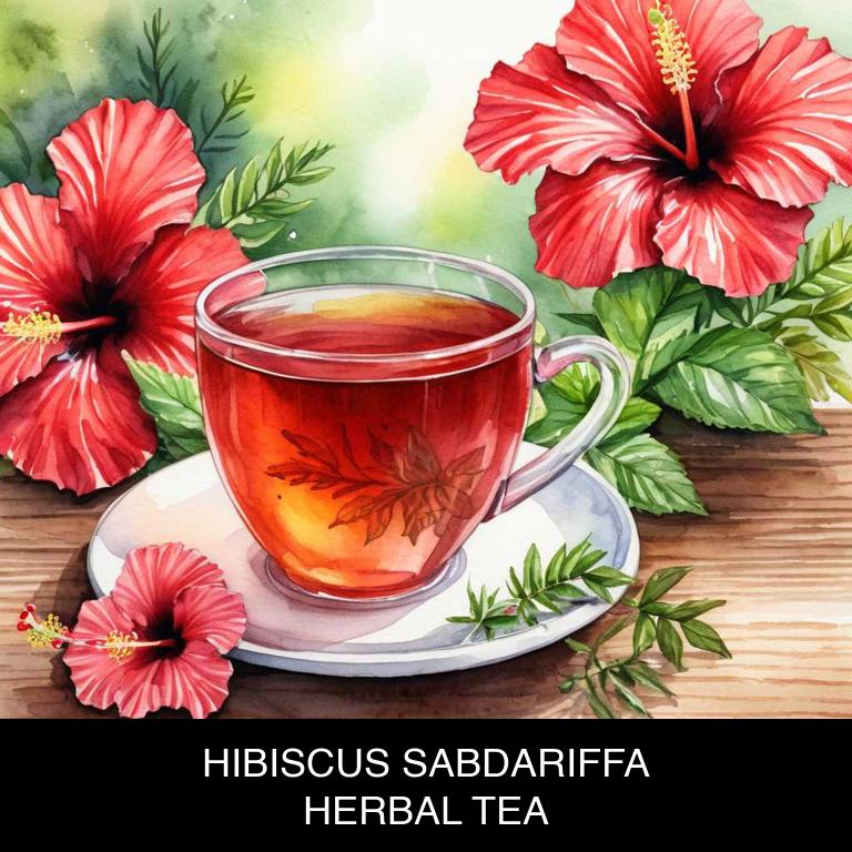 hibiscus sabdariffa herbal teas for high-blood-pressure