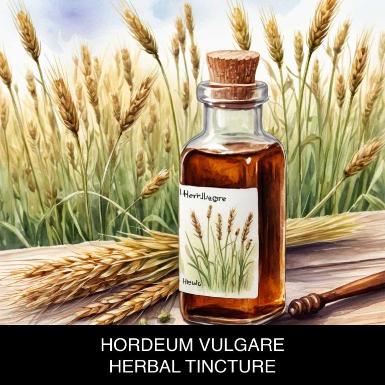 hordeum vulgare herbal tinctures for uterine-fibroids