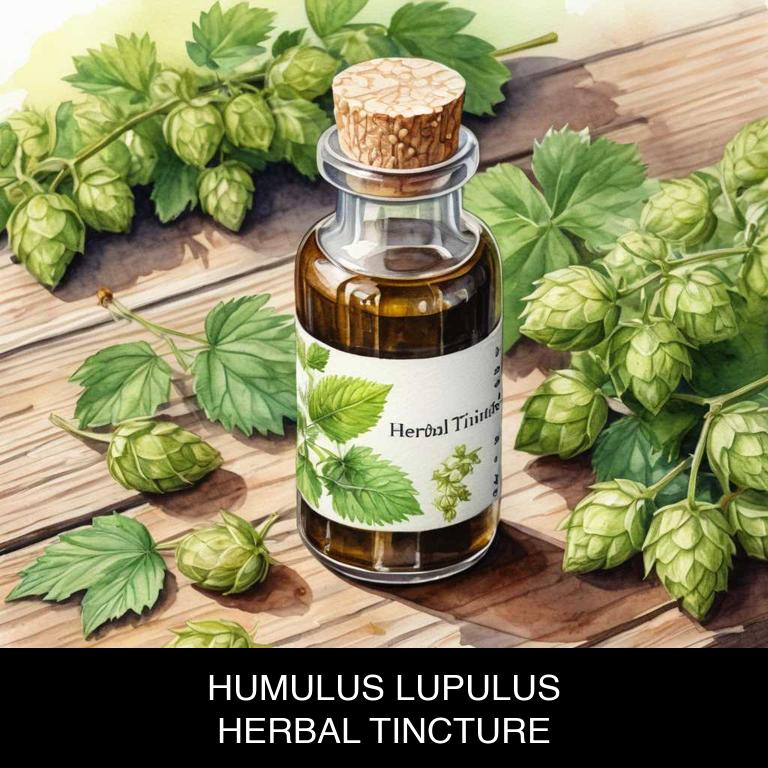 humulus lupulus herbal tinctures for insomnia