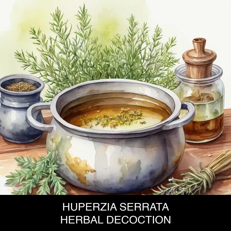 huperzia serrata herbal decoctions for brain-fog