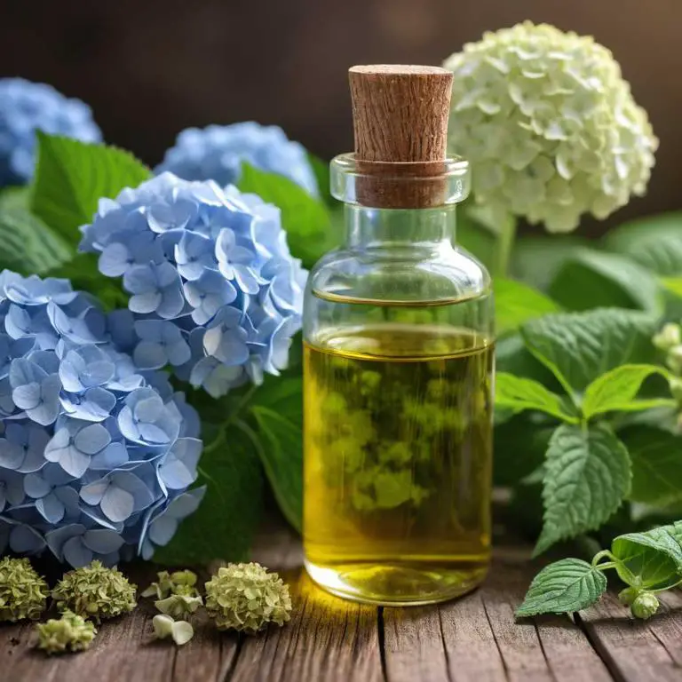 hydrangea arborescens herbal tinctures for nasal-congestion