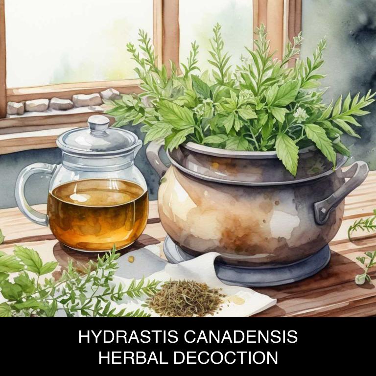 hydrastis canadensis herbal decoctions for shingles