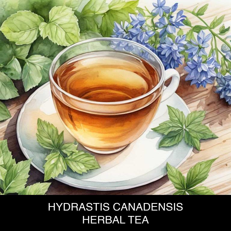 hydrastis canadensis herbal teas for allergies