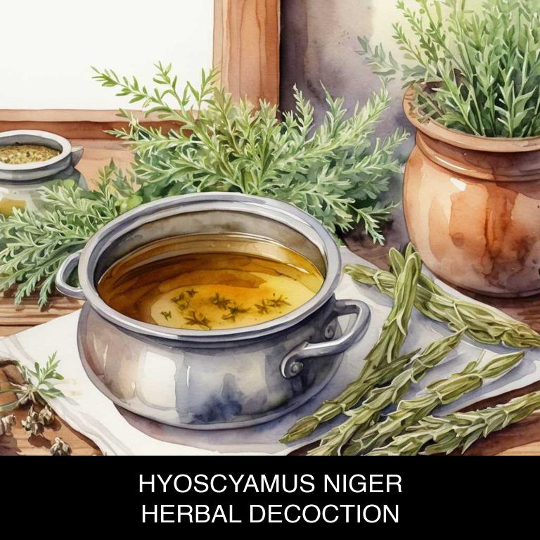 hyoscyamus niger herbal decoctions for restless-leg-syndrome