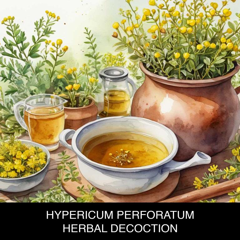 hypericum perforatum herbal decoctions for alzheimer-disease