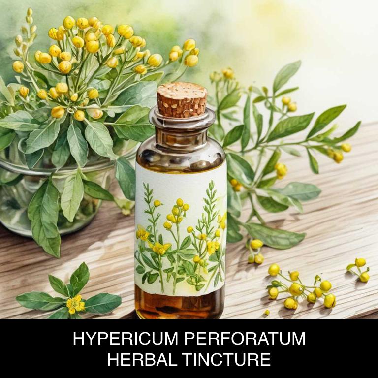 hypericum perforatum herbal tinctures for nerve-pain