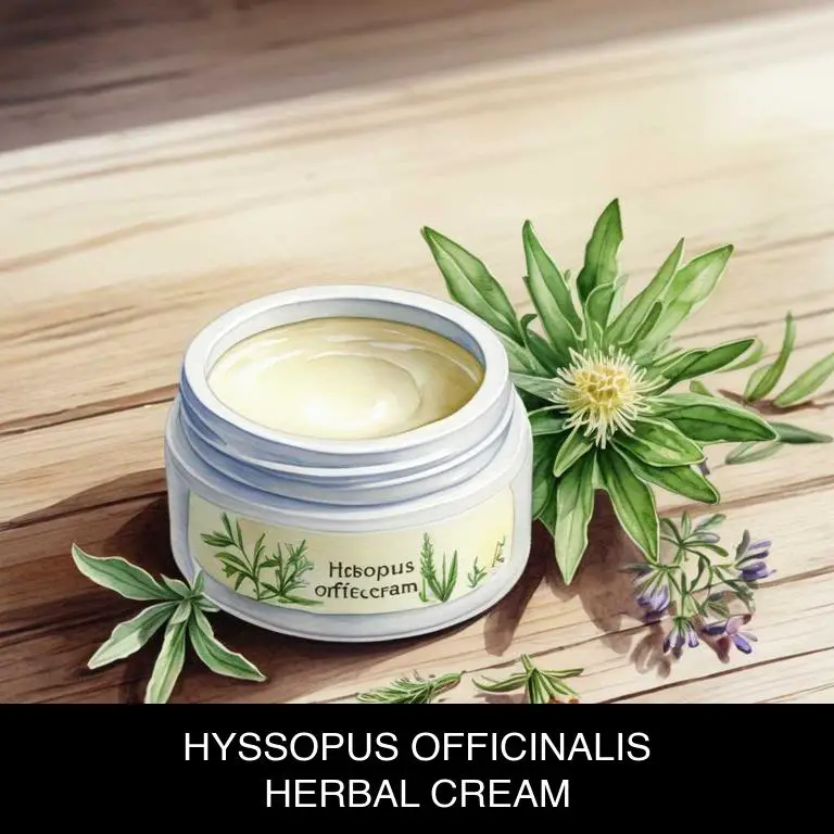 hyssopus officinalis herbal creams for snoring