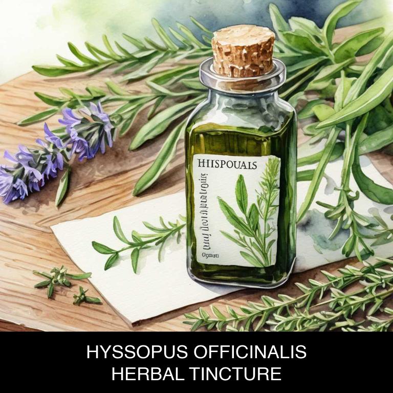 hyssopus officinalis herbal tinctures for breath-shortness