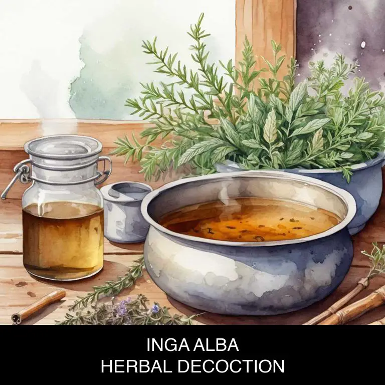 inga alba herbal decoctions for baldness