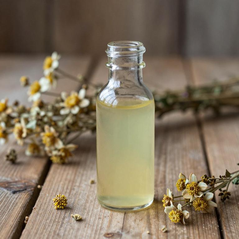 anethum graveolens juice